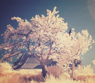 ddos攻击防御手段